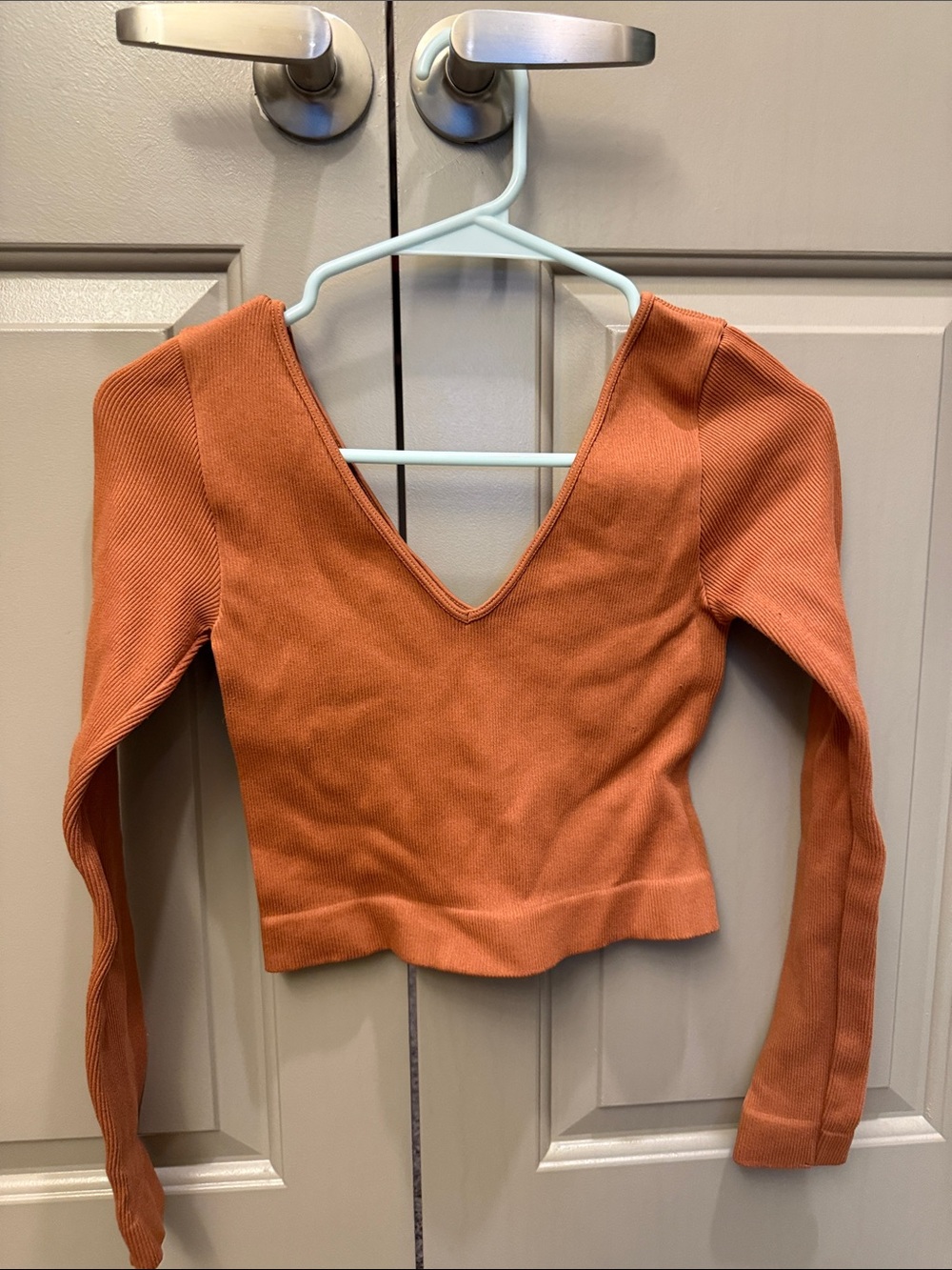 V-Neck Ribbed Long Sleeve Crop Top - Rust